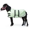 Gallopoff Foal Blanket Waterproof Windproof Adjustable Fit-5