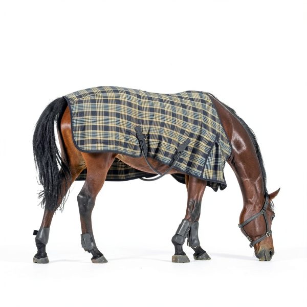 Mkhaslri Horse Blanket Straps Elastic PP Material-3