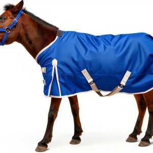 AQINGR Horse Blanket Water Resistant Warm Insulation Secure-0
