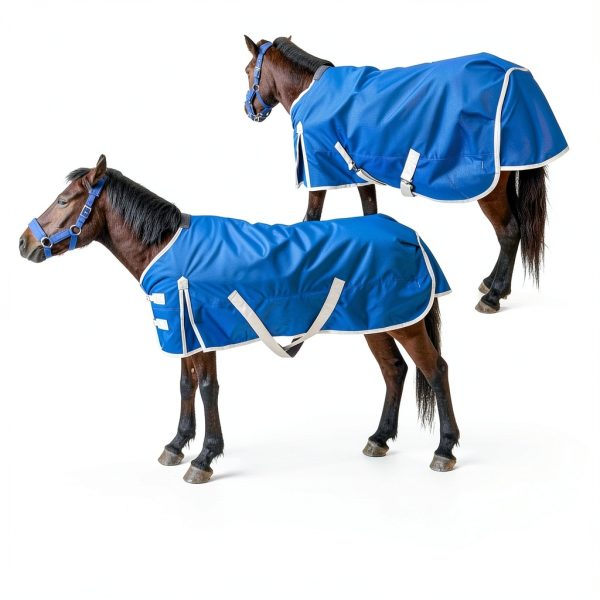 AQINGR Horse Blanket Water Resistant Warm Insulation Secure-3