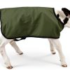Calf Jacket BetterMilk Weatherproof Insulated Farm Animal-3