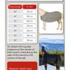 Horze Horse Blanket Heavy Weight Turnout Winter Protection-3