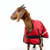 ZRSCHYG Animal Blanket All Season Protection Adjustable Fit-4