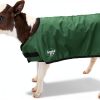 Calf Jacket BetterMilk Weatherproof Insulated Farm Animal-0