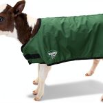 Calf Jacket BetterMilk Weatherproof Insulated Farm Animal-0