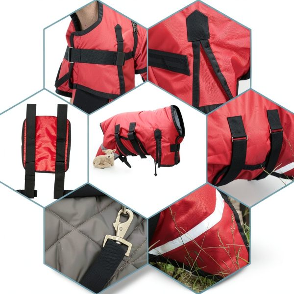 ZRSCHYG Animal Blanket All Season Protection Adjustable Fit-3