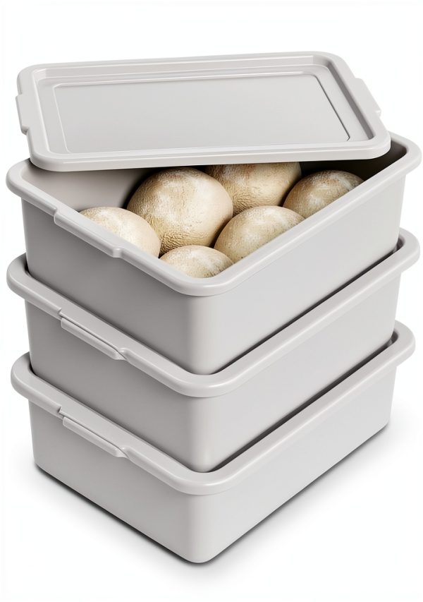 Commercial Pizza Dough Proofing Box by Morcters-6