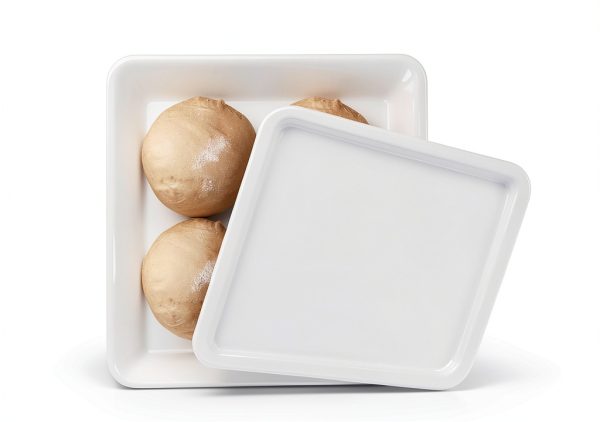 Pizza Proofing Box 2-Pack Stackable BPA Free 17x13x3.5in ChefPro-2
